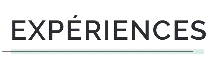 expériences professionnelles